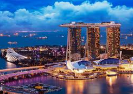 Bsports网页版2024最新版